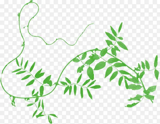 ��Ӱ��ɫ��Ҷ���Ч����Ӱ-������