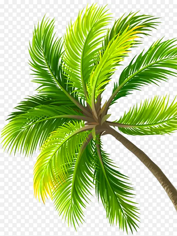 ��Ӱֲ����ҶЧ��-������