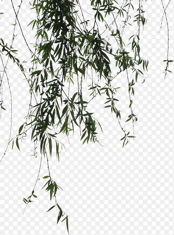 ��Ӱ�ֻ���Ҷ�ֻ�-������