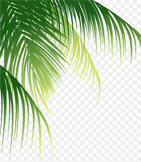 ��Ӱ�ֻ���ɫ������-������