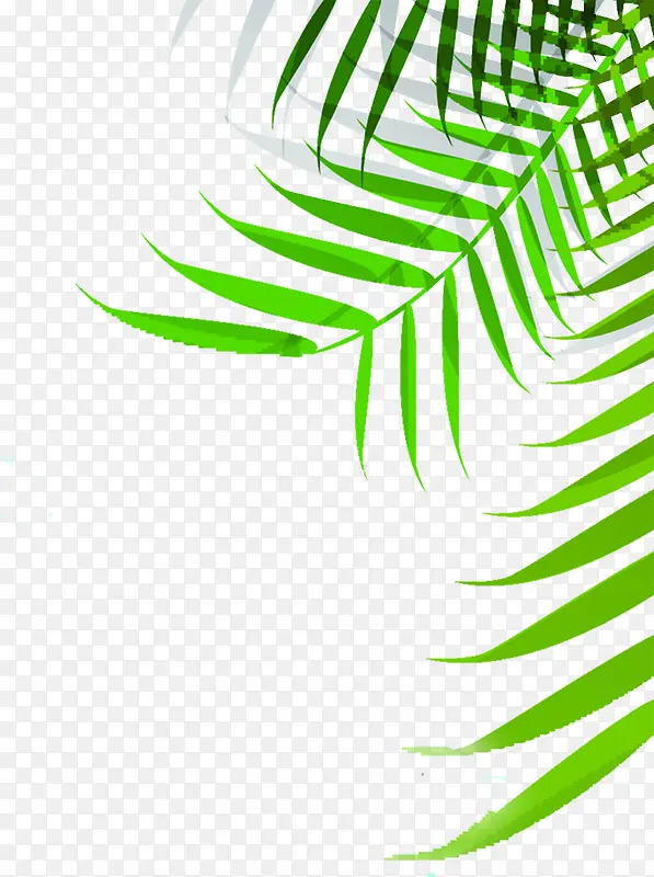 ��Ӱ�ֻ���Ҷ���-������