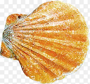 ���ջ�ɫ���Ǻ�����Ӱ-������