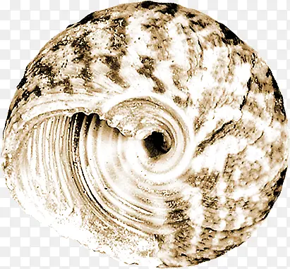 ��Ӱɳ̲��������-������