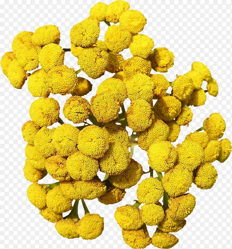 ʳƷ�߲��ز�-������