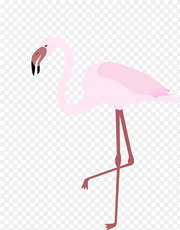 ��ͨ��ʸ���ز�-������