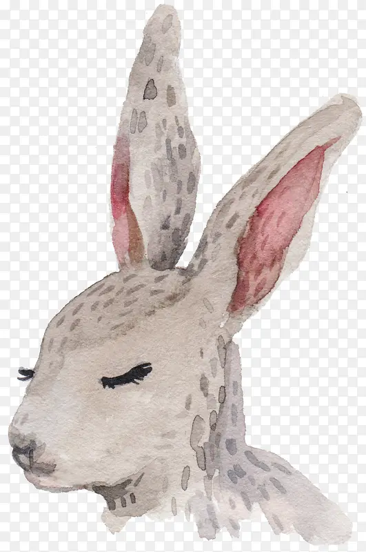 ��ͨ�ɰ�С����װ�ζ���ͷ��-������