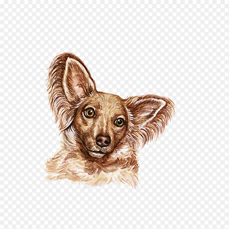 ��ͨ�ɰ�С����װ����ƶ���ͷ��-������