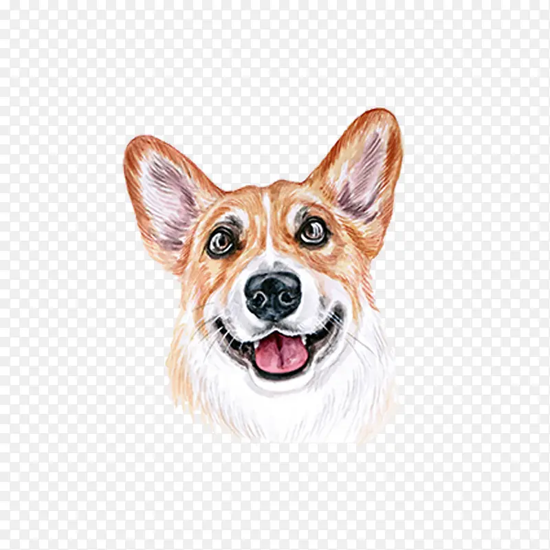 ��ͨ�ɰ�С����װ����ƶ���ͷ��-������