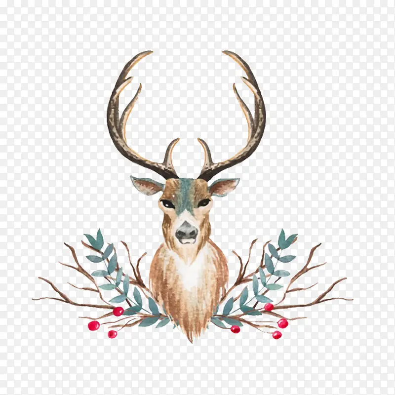 ��ͨ�ɰ����ﺣ�����װ��С¹-������