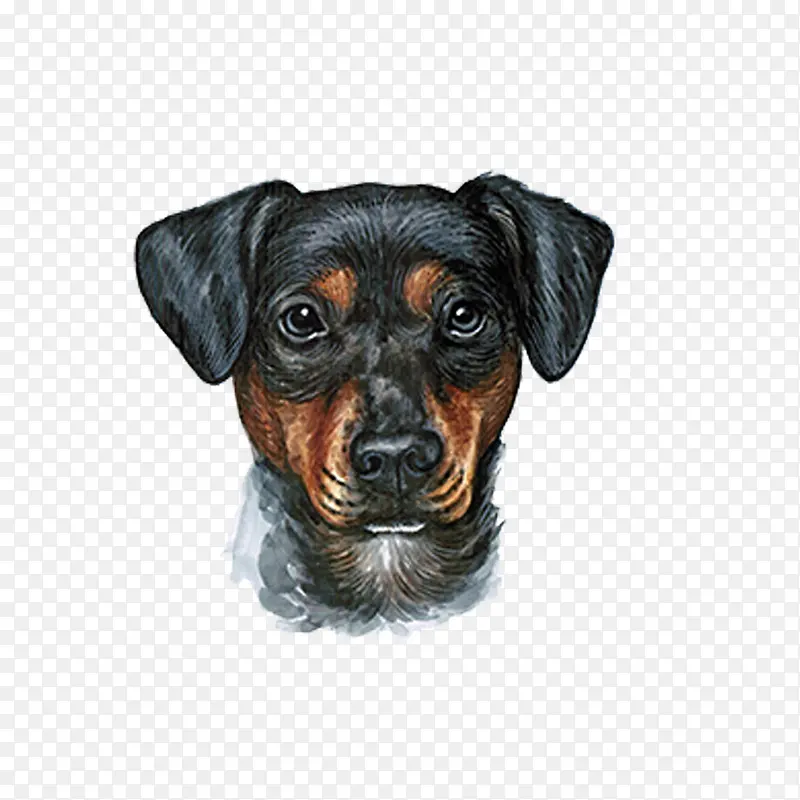 ��ͨ�ɰ�С����װ����ƶ���ͷ��-������