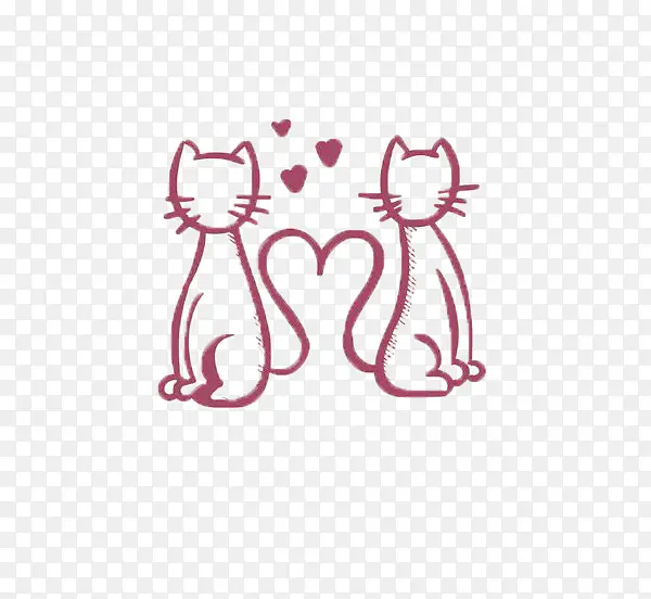 ����è��ʻ�-������