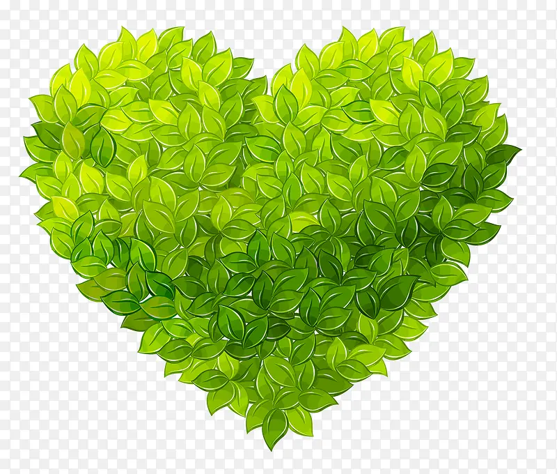 ��ɫ����-������