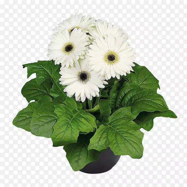 ����ʿ�߳����л���������-������