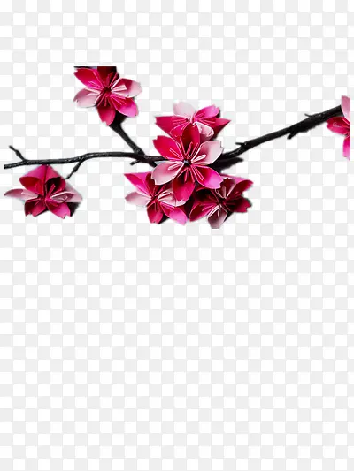 ӣ������֦-������