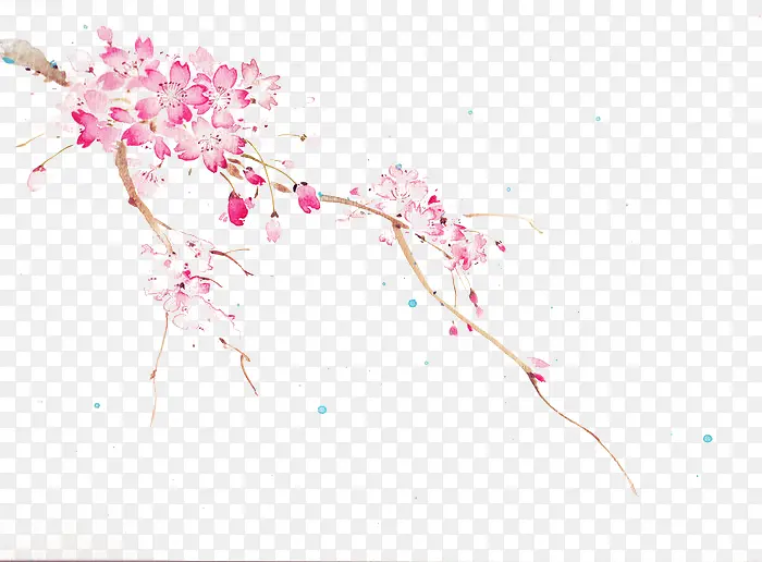 ��ɫӣ��-������