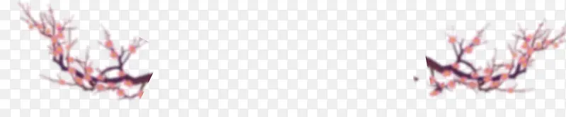 �ۺ�ɫӣ����֦�ز�-������