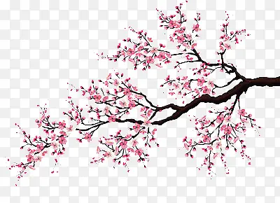 ӣ��-������