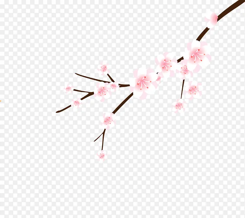 ӣ��װ��-������