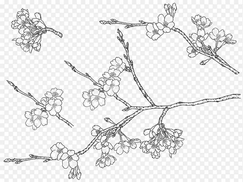 �ֻ�ӣ��-������