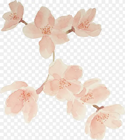 ��֦�ϵ�ӣ��-������