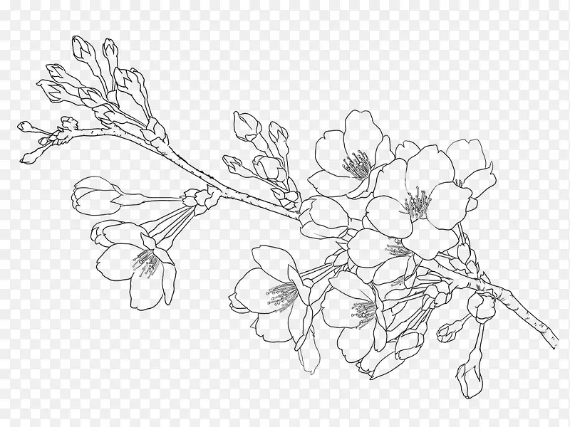 �ֻ�ӣ��-������