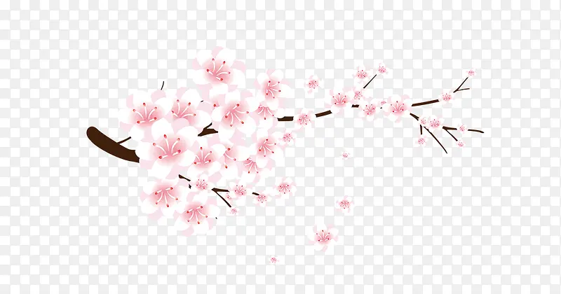 ��֦-������