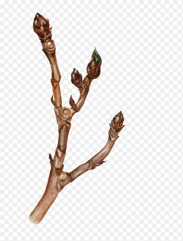 �ֻ���֦-������