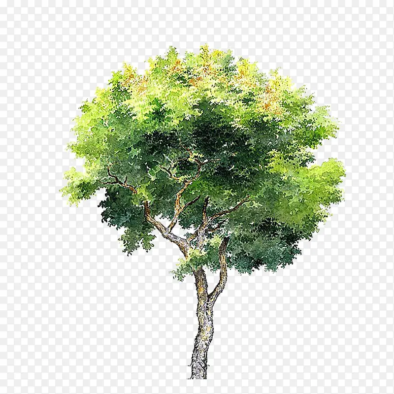 �ֻ����-������