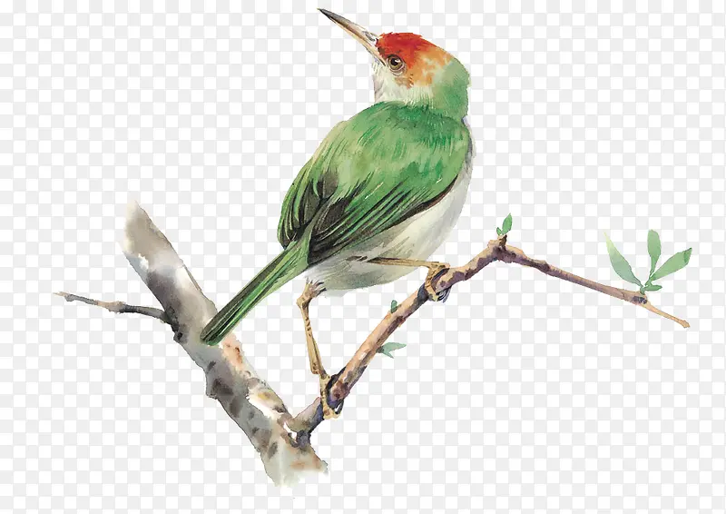 �ֻ�С��-������