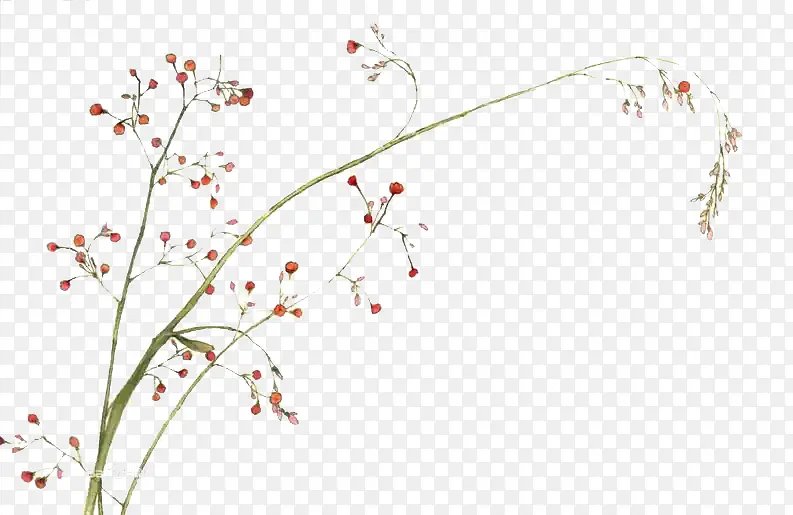 ��֦-������