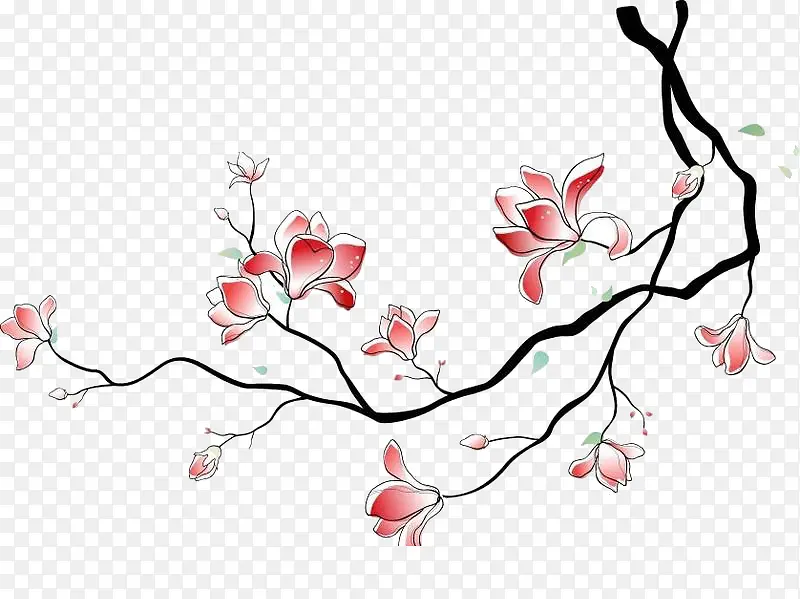 ��֦-������