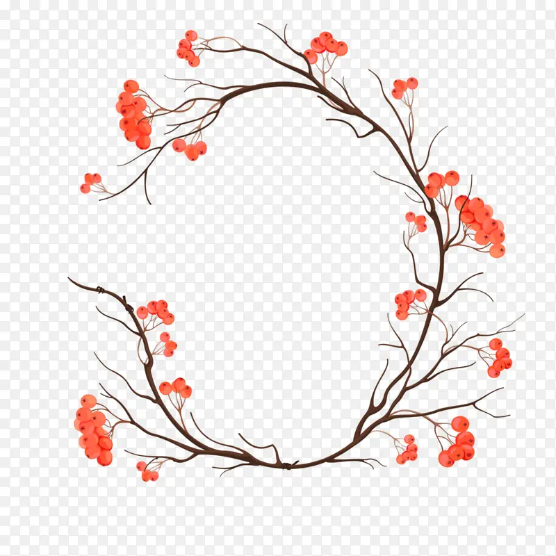 ��ʵ��֦-������