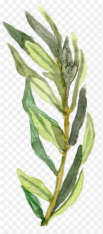 �ֻ���֦-������