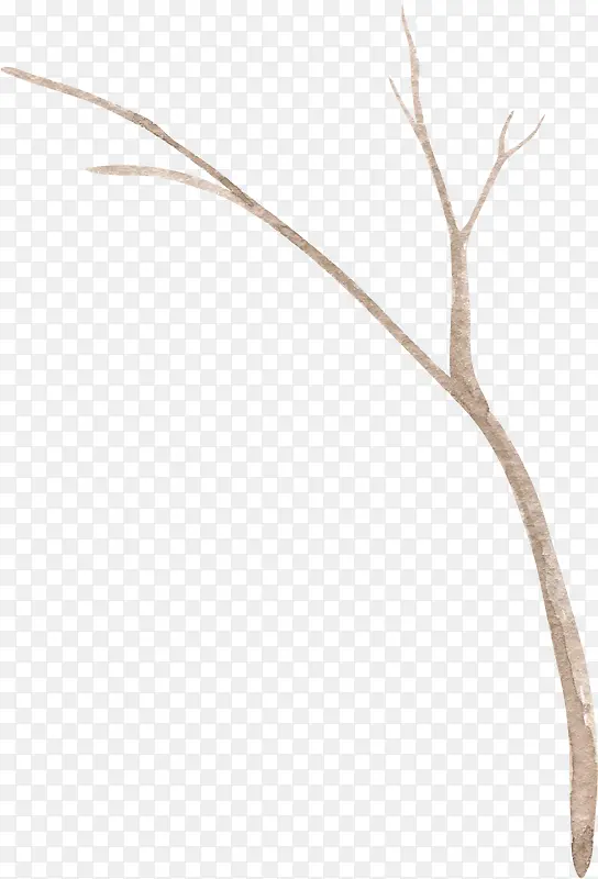 ��֦-������