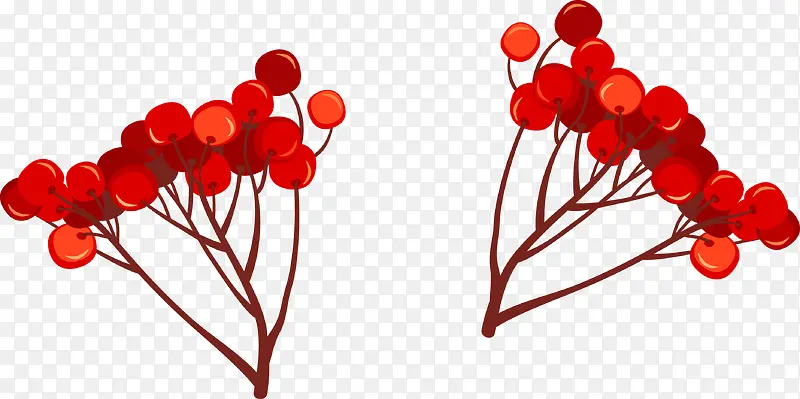 ��֦��-������