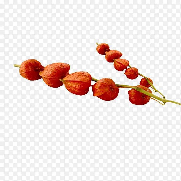 �������Ƕ�-������