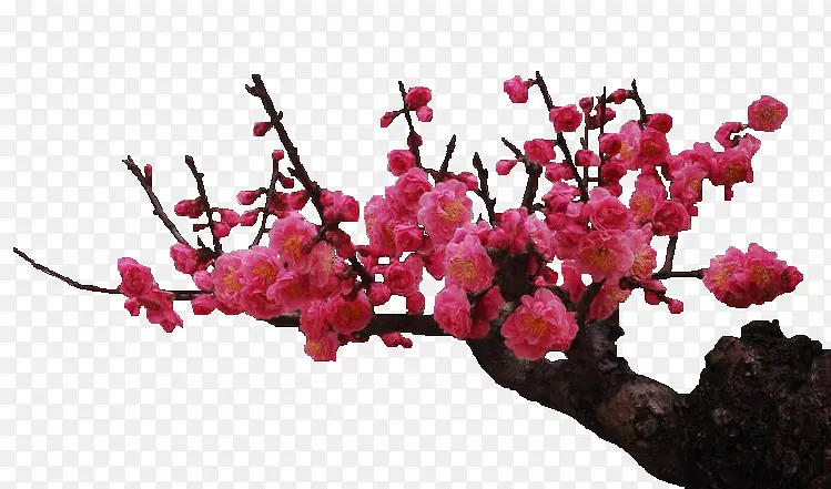 �һ�-������