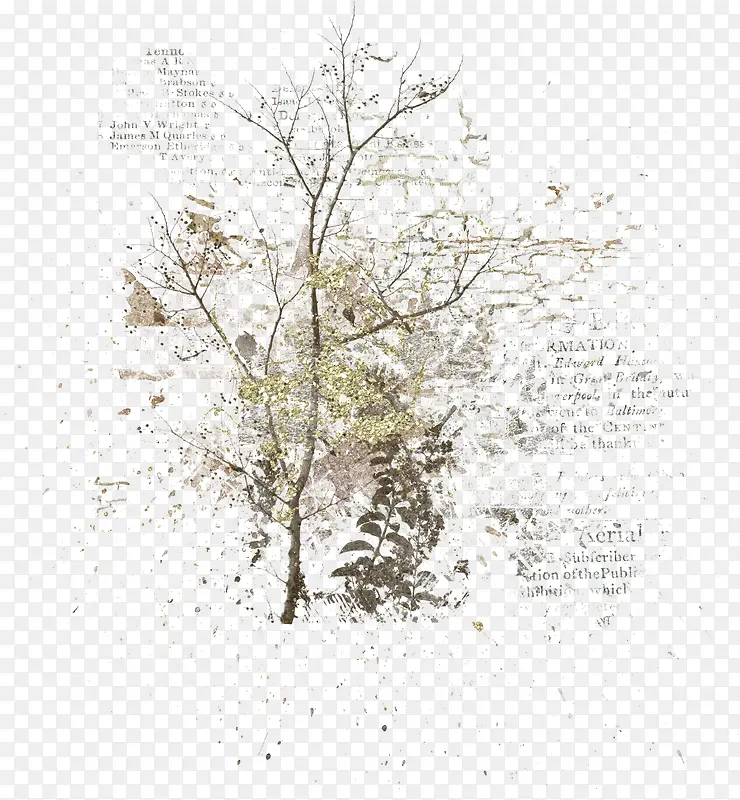 Ư��������֦-������