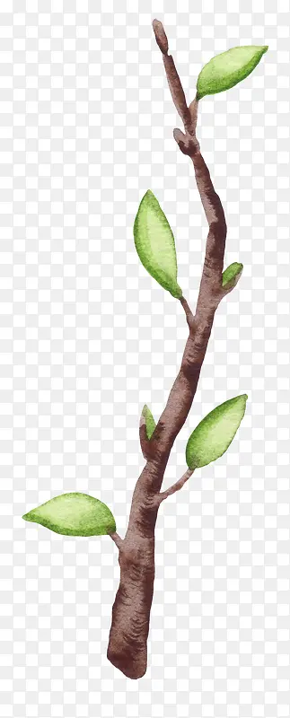 �ɰ�С����װ�κ���װ����֦-������