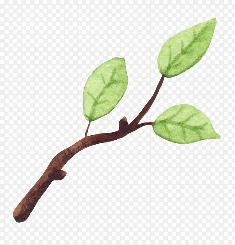 �ɰ�С����װ�κ���װ����֦-������