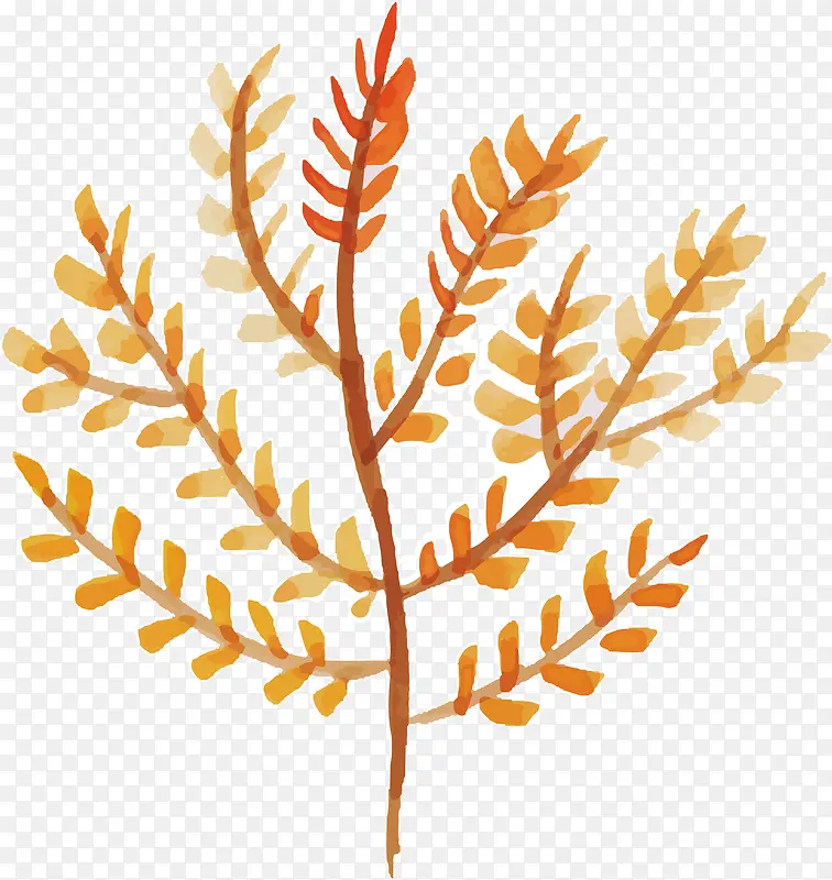 ��ɫС������֦-������