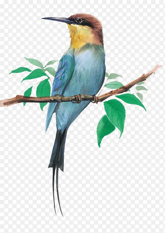 ճ����֦�ϵ���-������