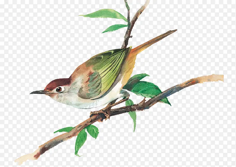 С��-������