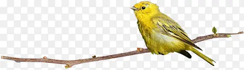 С��-������