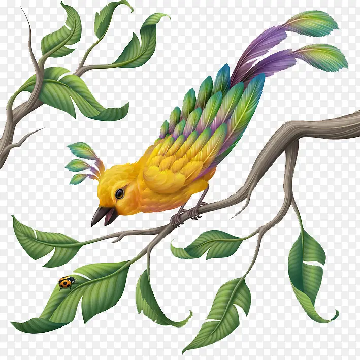 �ֻ���-������