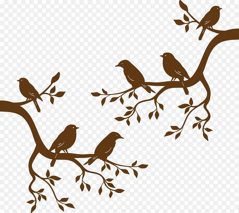 С����֦-������