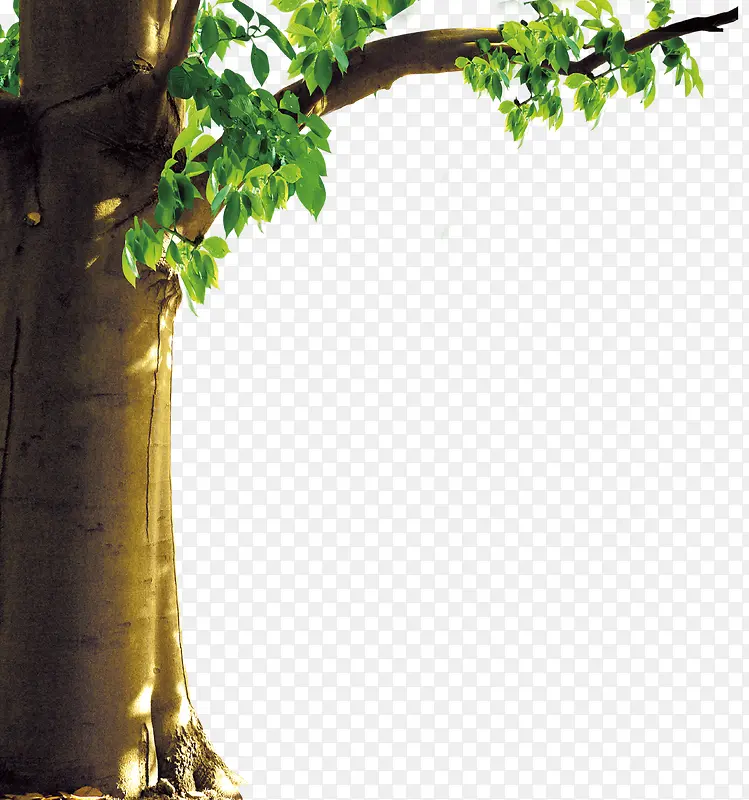 ��֦-������