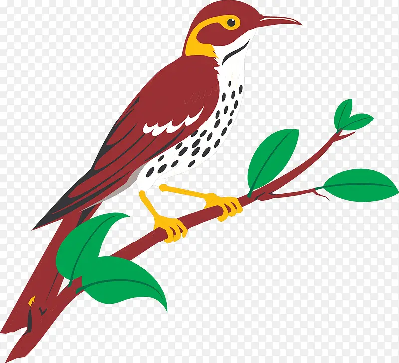 ʸ���ֻ���֦�ϵ���-������