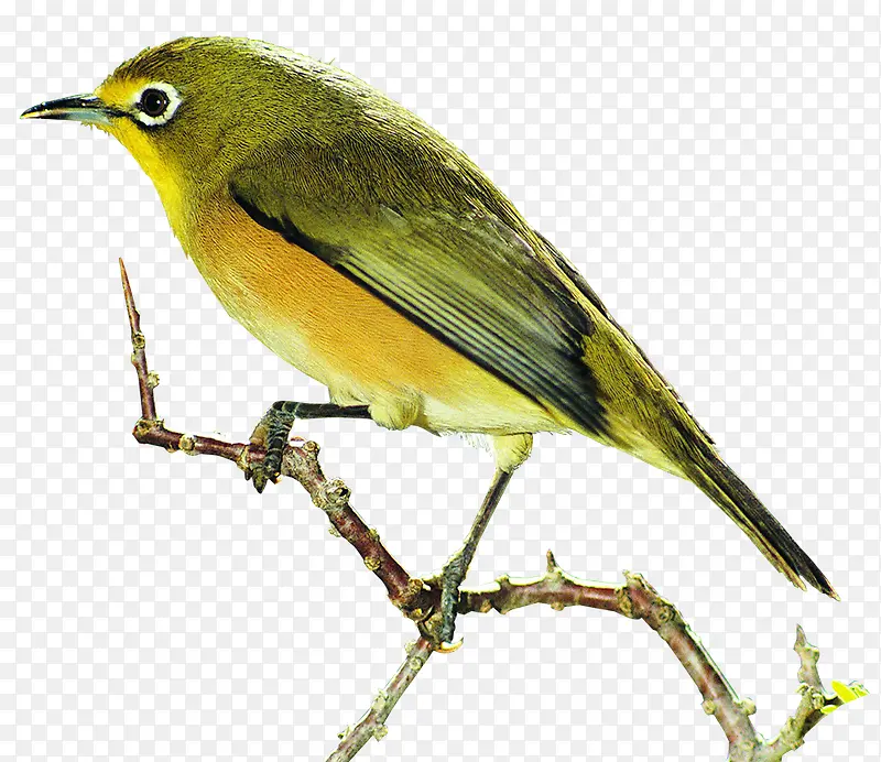 С��-������