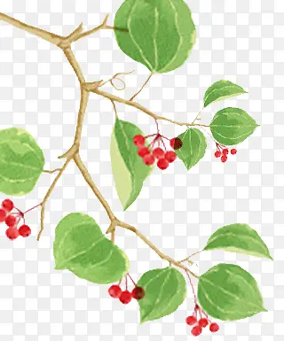 �ֻ���֦-������